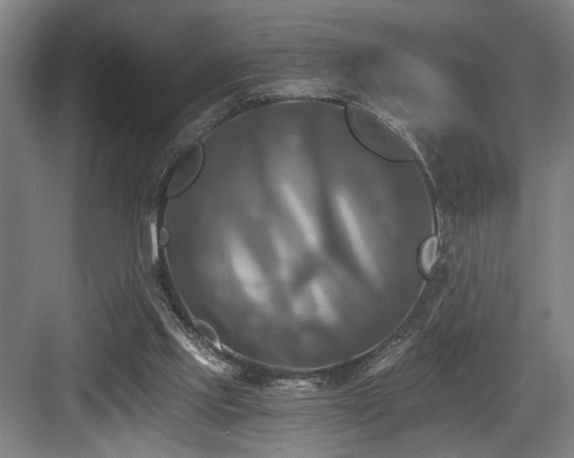 X0000084010061200702161212