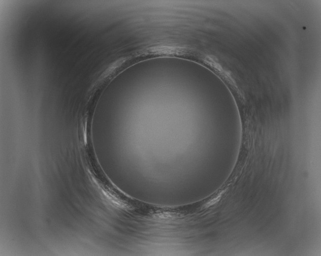 X0000084010062200702161212