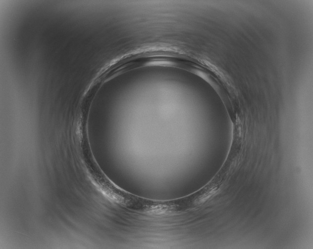 X0000084010064200702161212