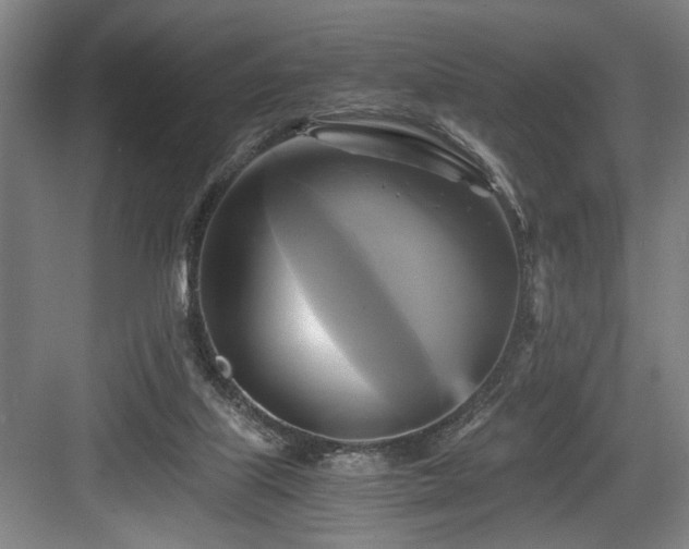 X0000084010067200702161212