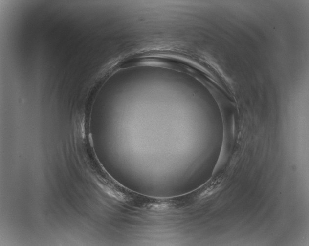X0000084010068200702161212