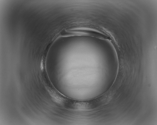 X0000084010069200702161212