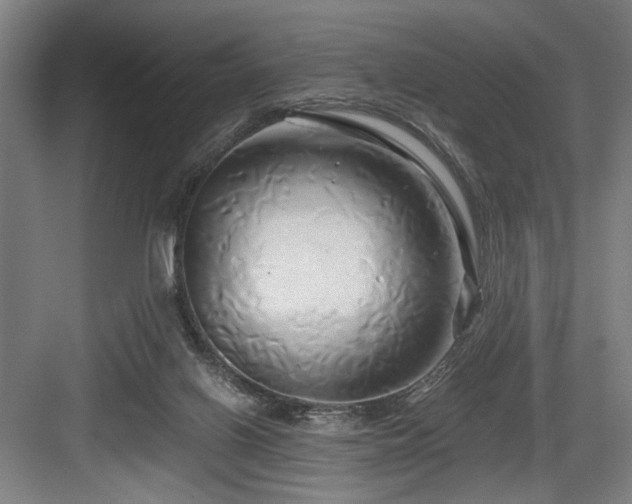 X0000084010070200702161212