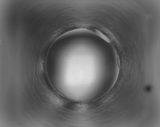 X0000084010071200702161212