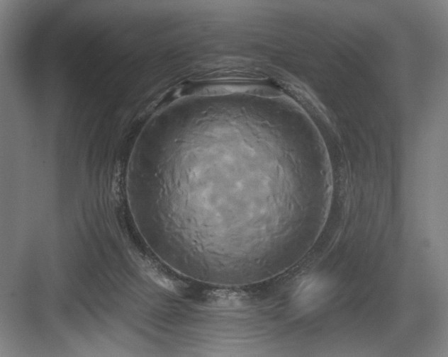 X0000084010073200702161212