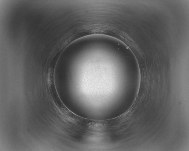 X0000084010074200702161212