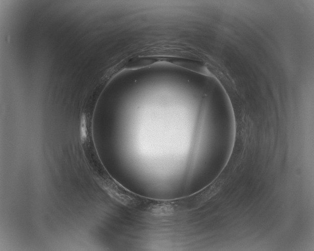X0000084010075200702161212