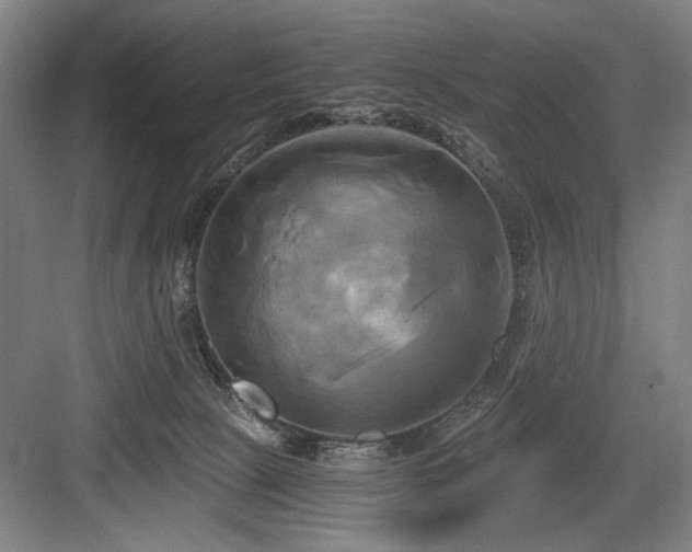 X0000084010081200702161213
