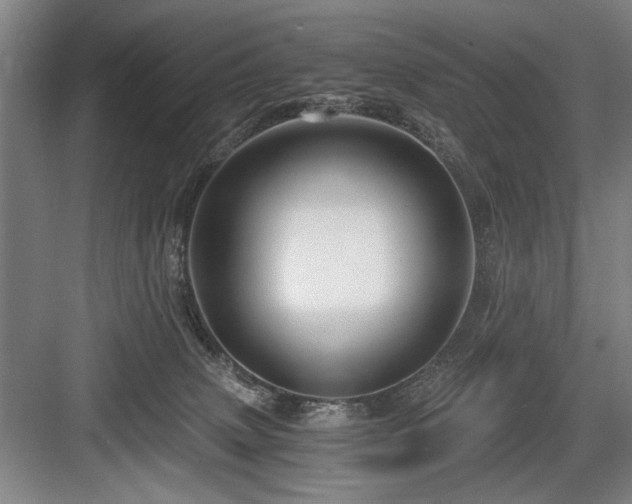X0000084010083200702161213