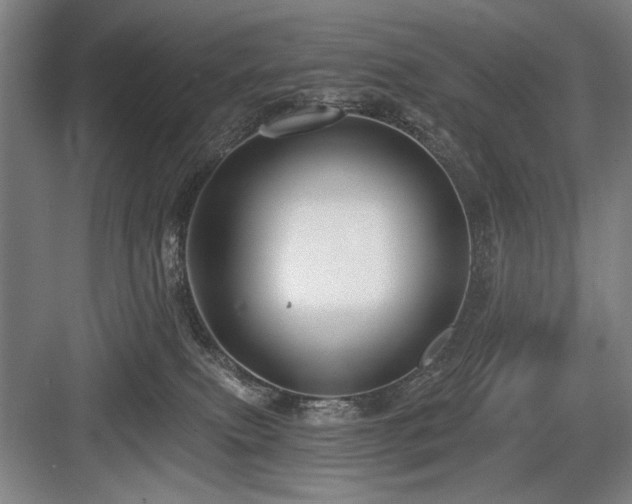 X0000084010087200702161213