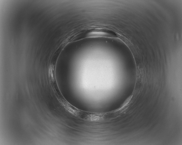 X0000084010094200702161213