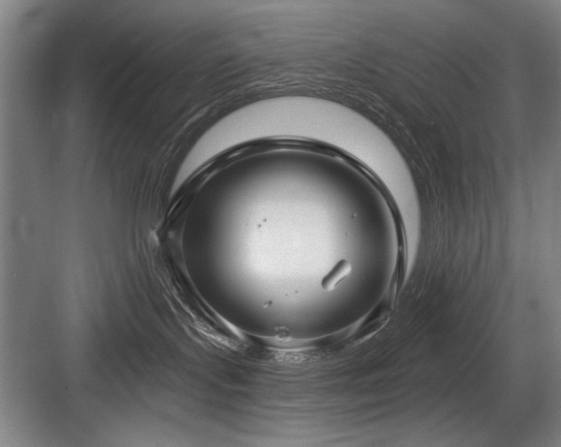 X0000084010095200702161213