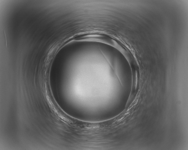 X0000084010097200702161212