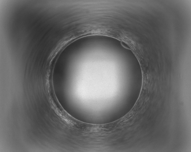 X0000084010098200702161212