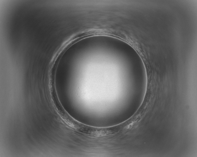 X0000084010103200702161212