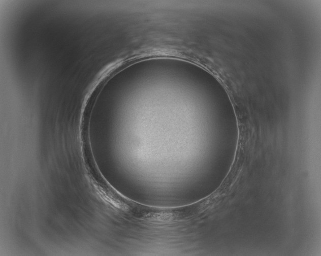 X0000084010104200702161212