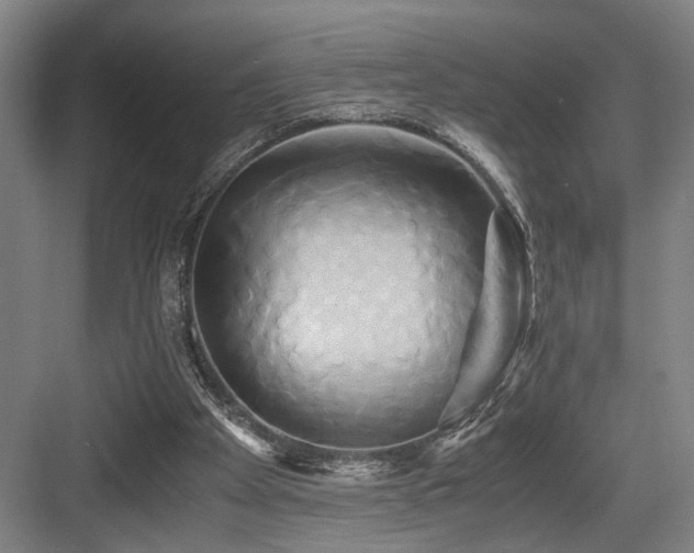 X0000084010105200702161212