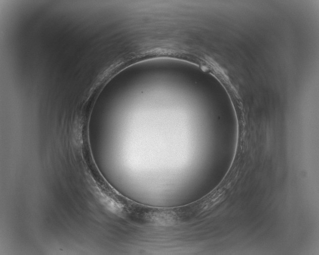 X0000084010106200702161212
