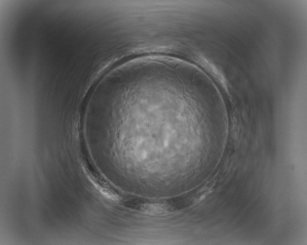 X0000084010107200702161212