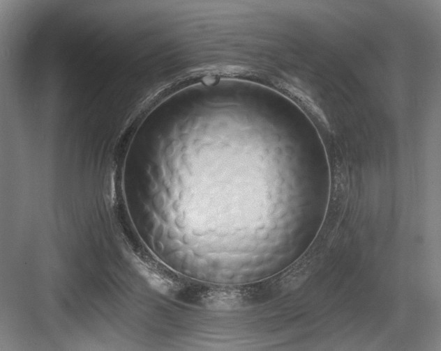 X0000084010110200702161212