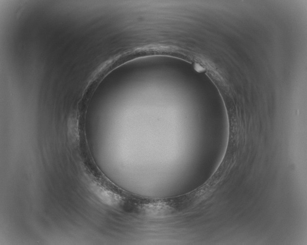 X0000084010112200702161212