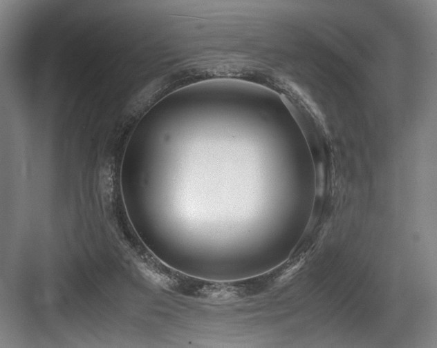X0000084010113200702161212