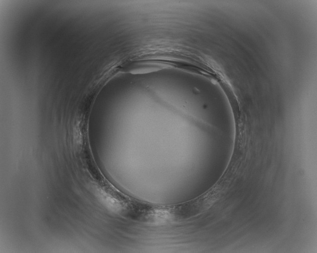X0000084010114200702161212