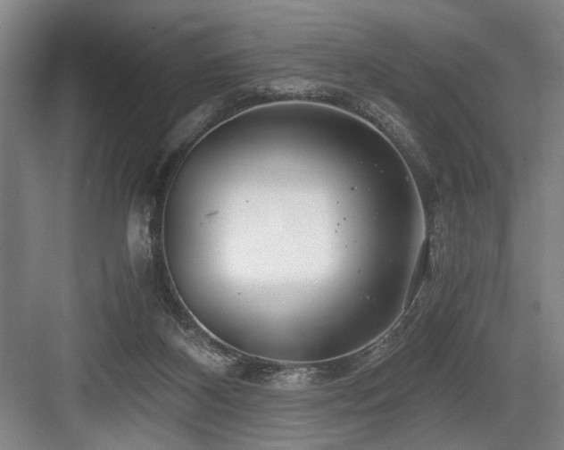 X0000084010116200702161212