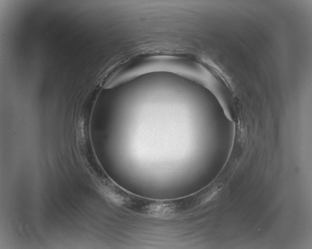 X0000084010117200702161212