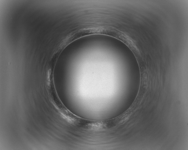 X0000084010118200702161212