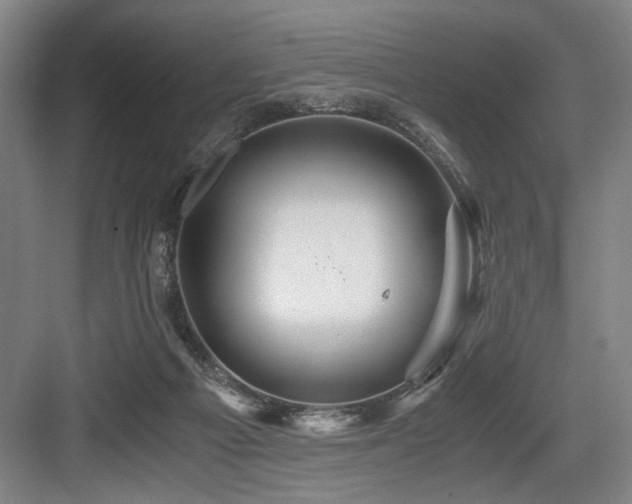 X0000084010121200702161212