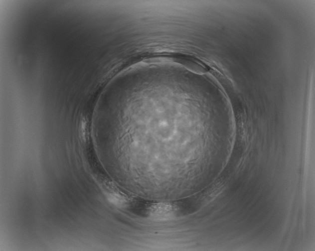 X0000084010123200702161212