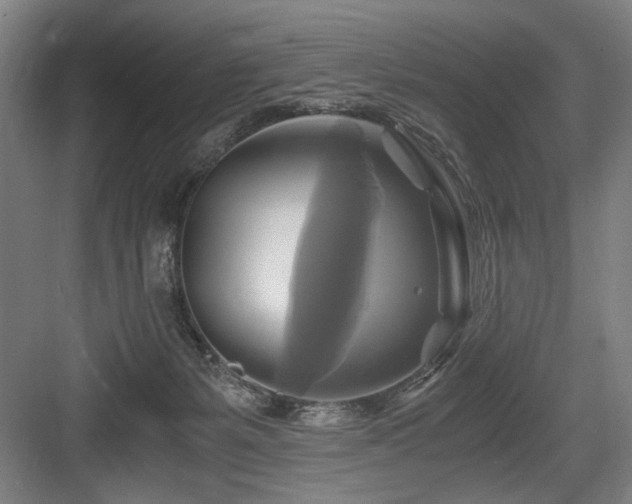 X0000084010127200702161212