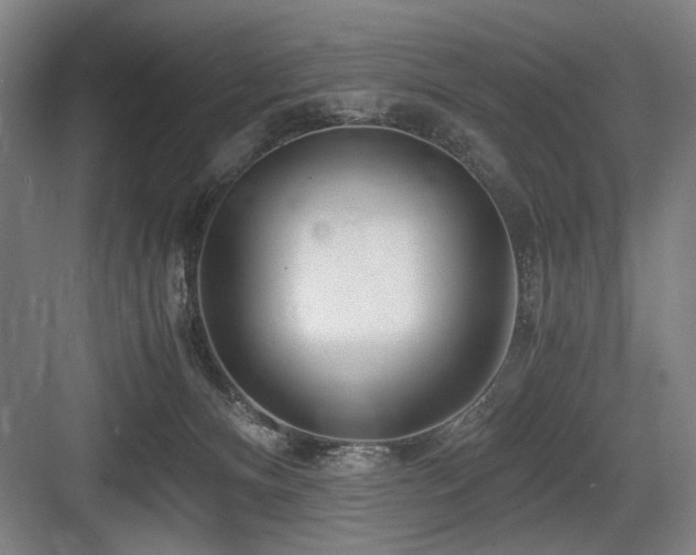 X0000084010128200702161211