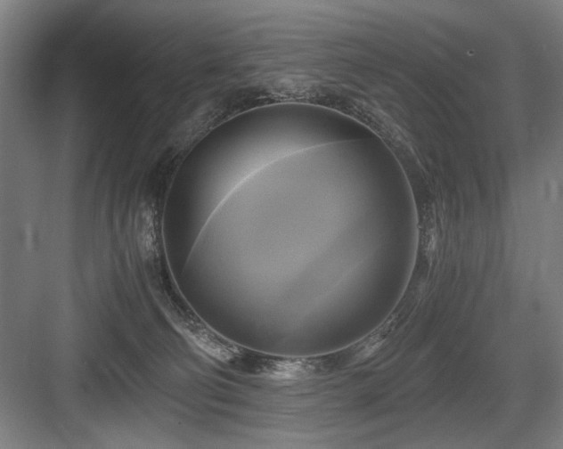 X0000084010130200702161211