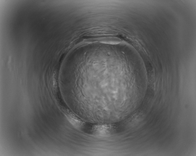 X0000084010131200702161211