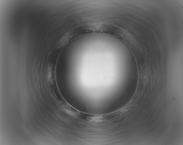 X0000084010132200702161211