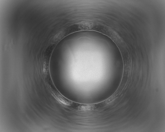 X0000084010134200702161211