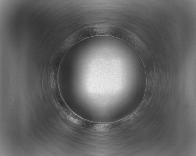 X0000084010136200702161211