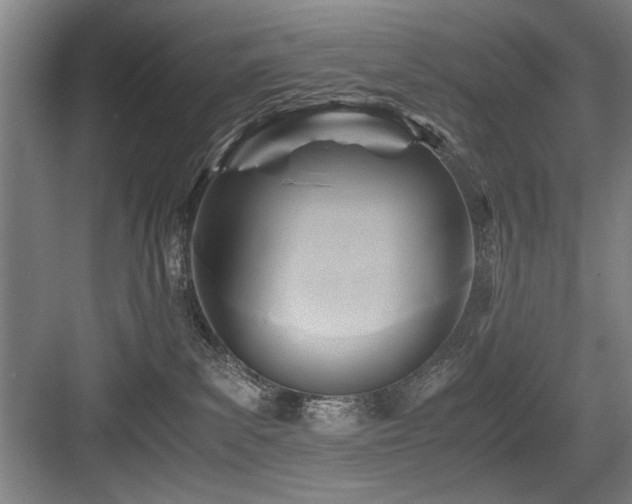X0000084010139200702161211
