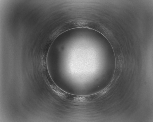 X0000084010140200702161211