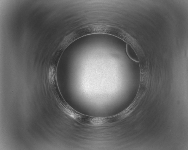 X0000084010142200702161211