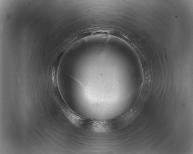 X0000084010143200702161211
