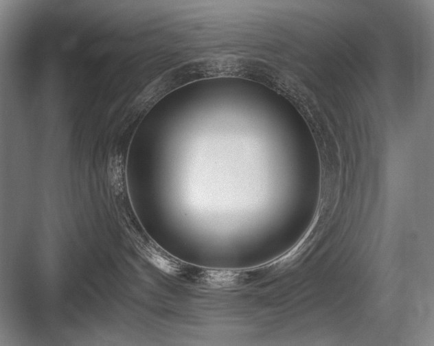 X0000084010144200702161211