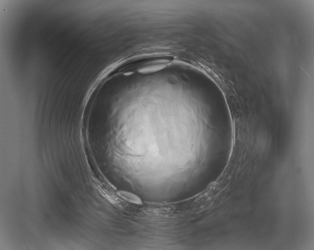 X0000084010147200702161210