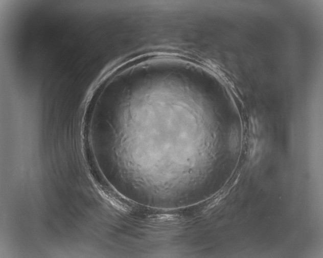 X0000084010151200702161211