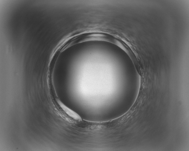 X0000084010152200702161211