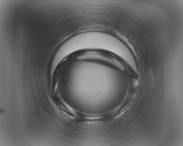 X0000084010154200702161211