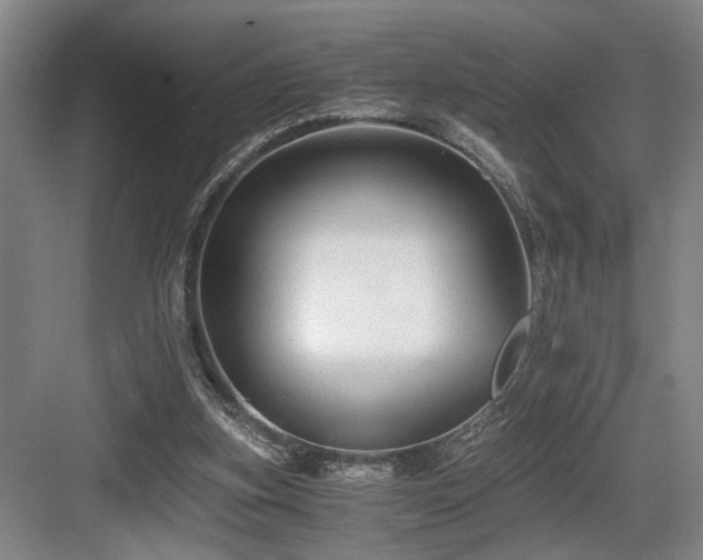 X0000084010155200702161211