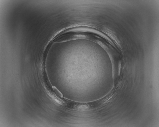 X0000084010156200702161211